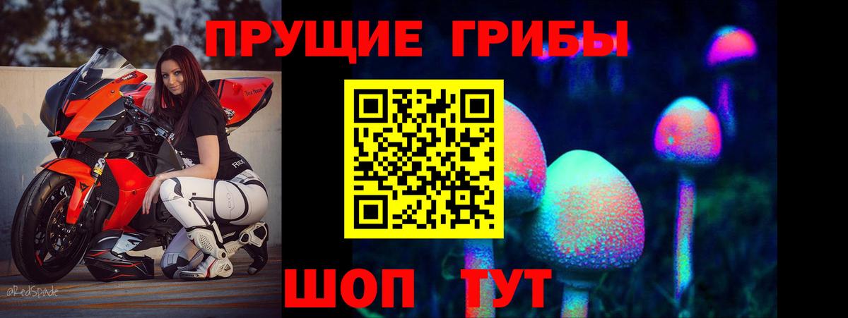 Галлюциногенные грибы Cubensis Бердск